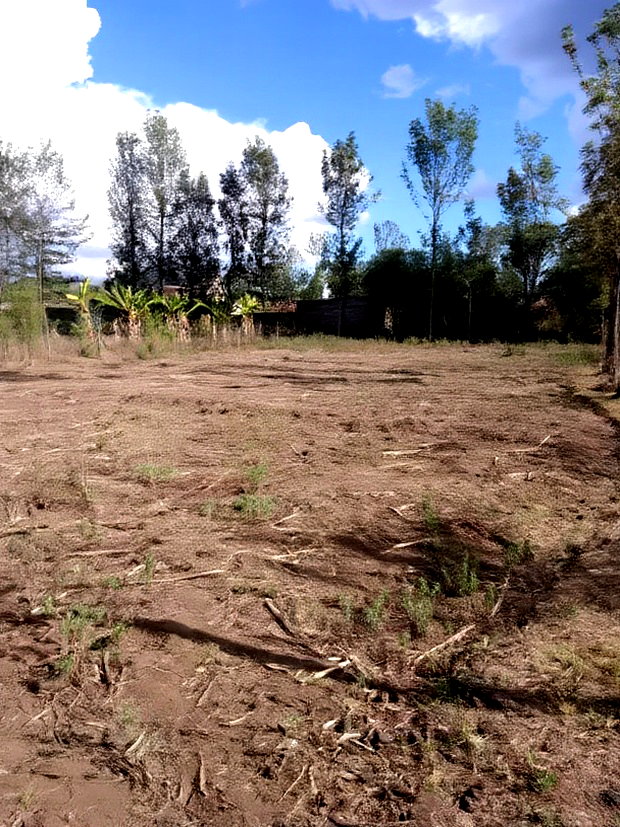 75x150ft Plot for Sale at Kenol at Kagaa