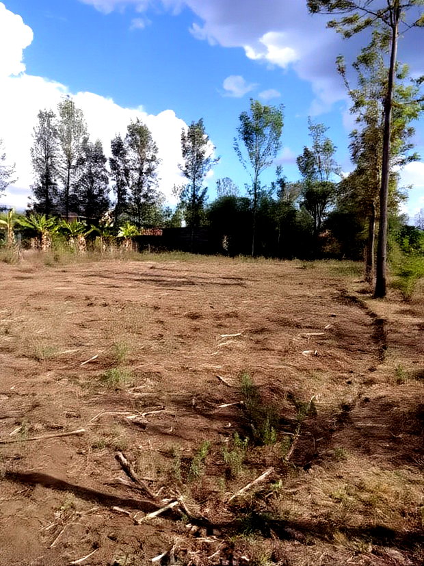 75x150ft Plot for Sale at Kenol at Kagaa