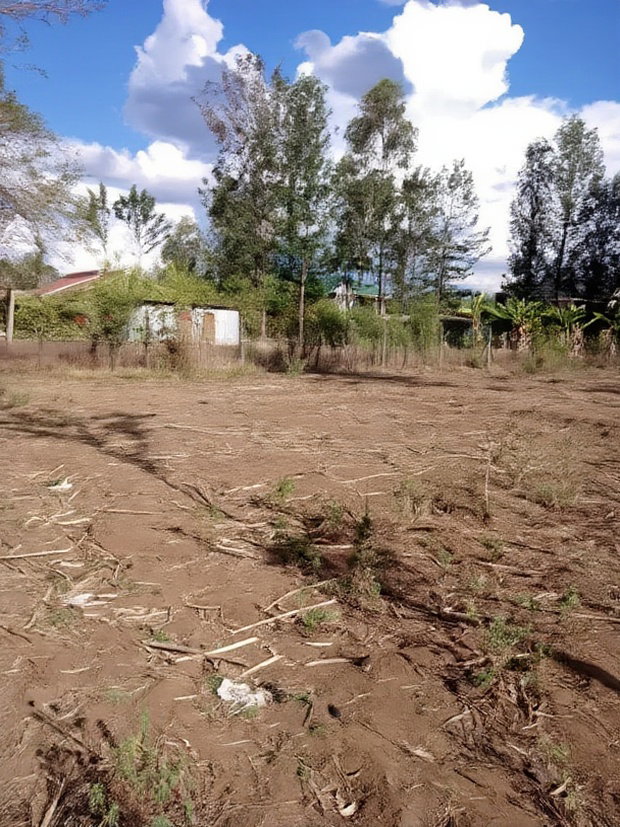 75x150ft Plot for Sale at Kenol at Kagaa