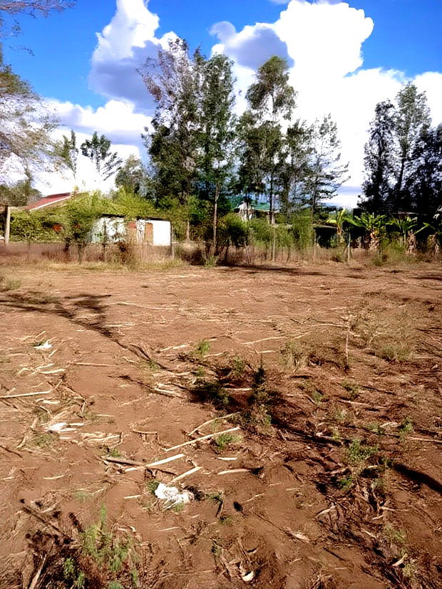 75x150ft Plot for Sale at Kenol at Kagaa