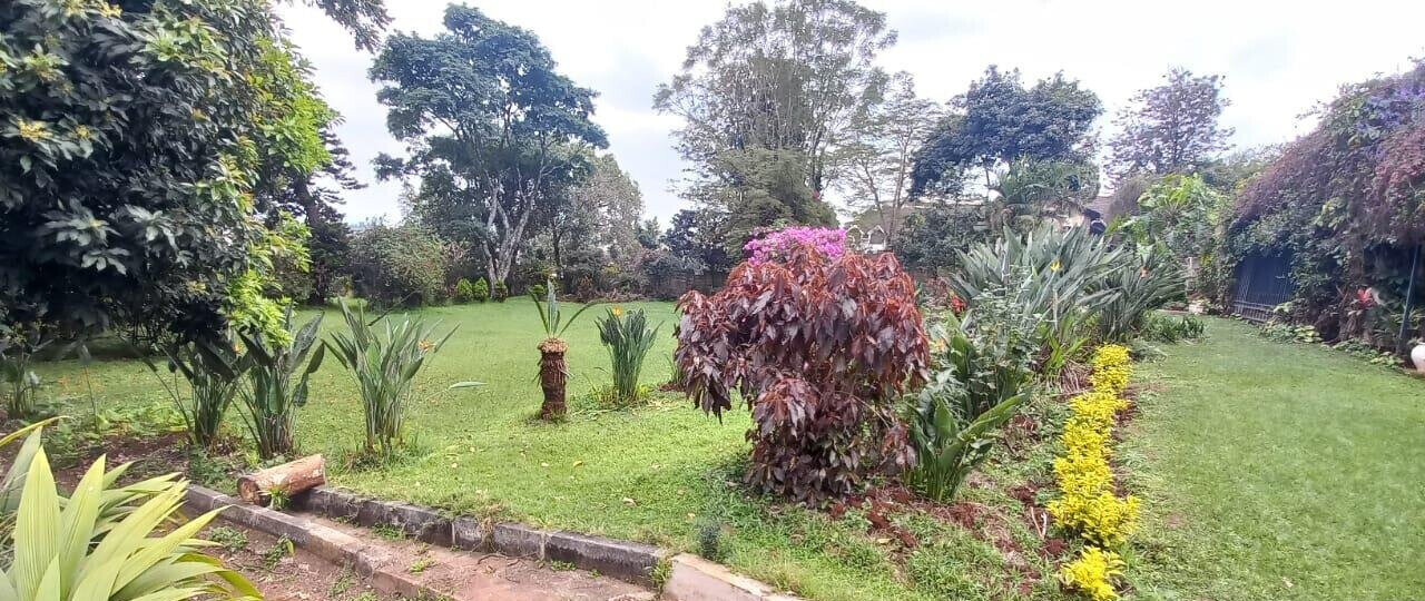 1.5 Acre Lavington Plot with Garden