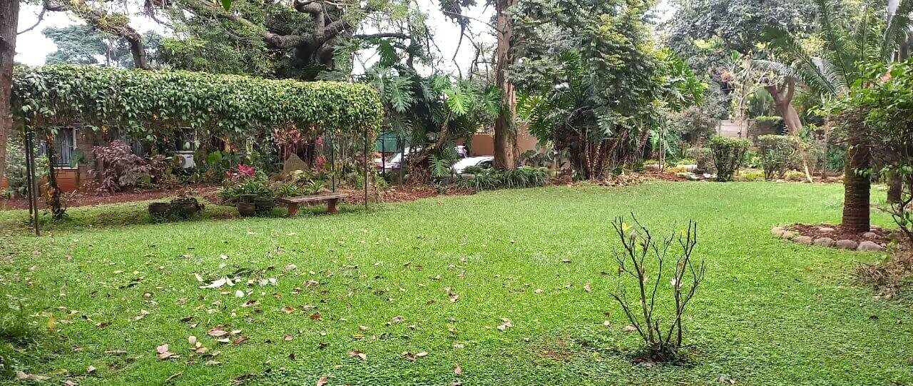 1.5 Acre Lavington Plot with Garden