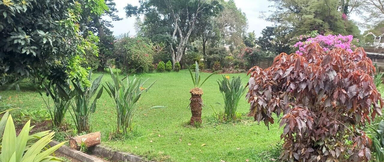 1.5 Acre Lavington Plot with Garden