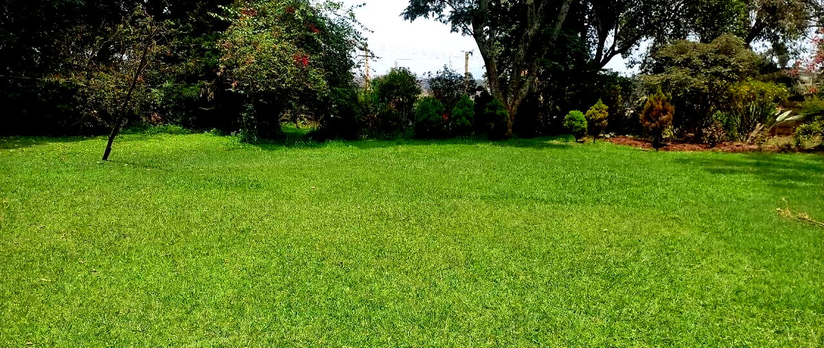 1.5 Acre Lavington Plot with Garden