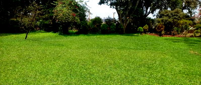 1.5 Acre Lavington Plot with Garden