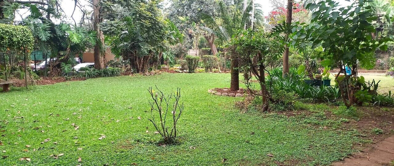 1.5 Acre Lavington Plot with Garden
