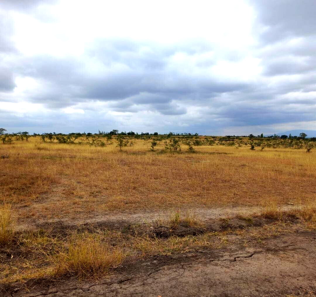 4-Acre Plot at KSh 3M