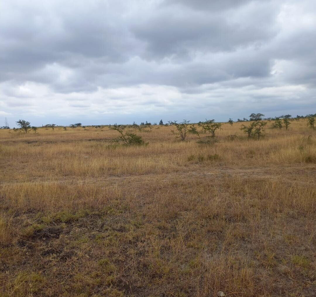 4-Acre Plot at KSh 3M