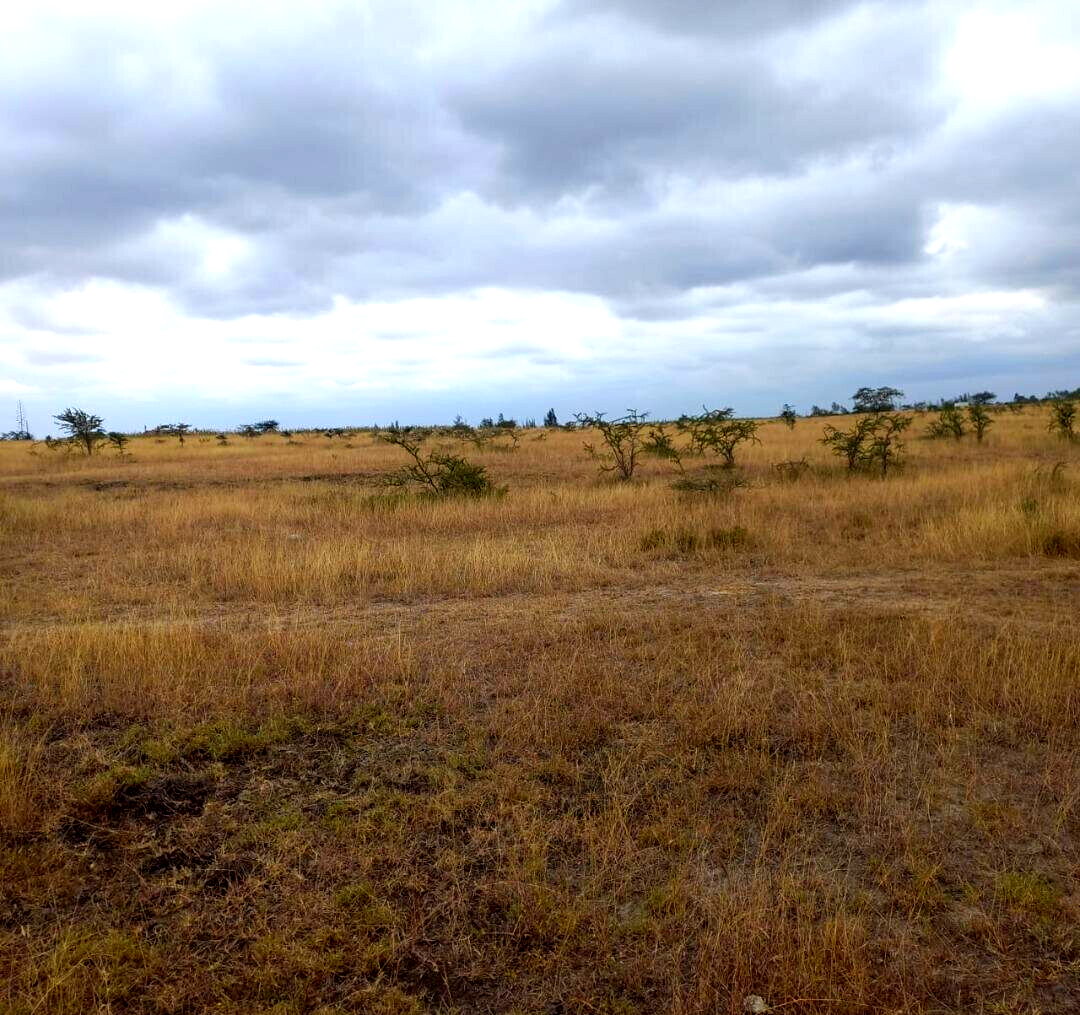 4-Acre Plot at KSh 3M