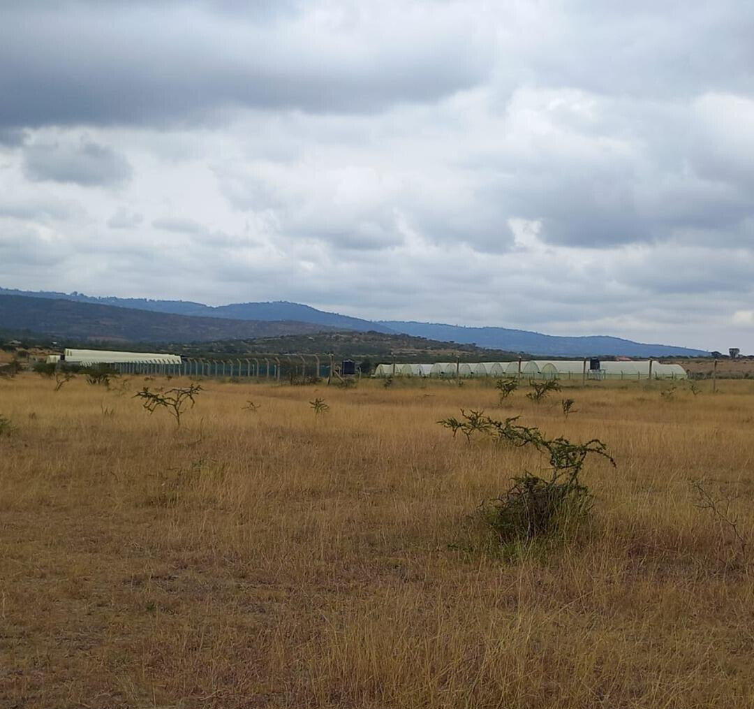 4-Acre Plot at KSh 3M