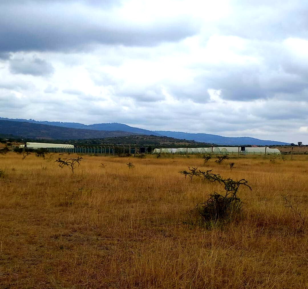 4-Acre Plot at KSh 3M