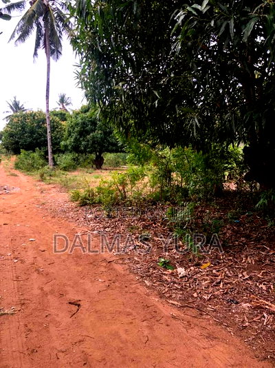An Acre Land Along Gede-Watamu Road - Image 2