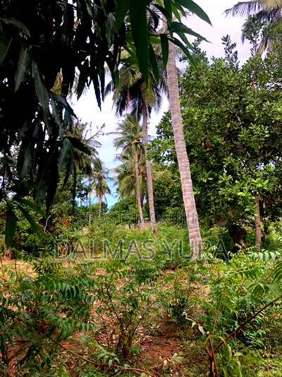 An Acre Land Along Gede-Watamu Road - Image 1