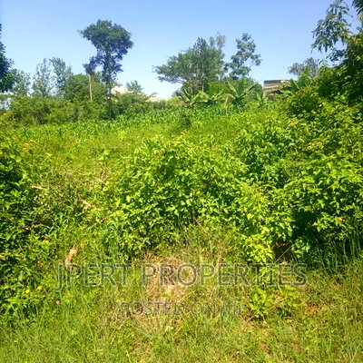 3 Acres for Sale - Image 1