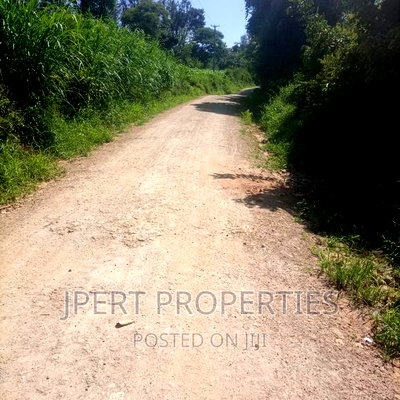 3 Acres for Sale - Image 2
