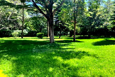 1 Acres Residential Vacant Land for Sale in Muthaiga (Kenya) - Image 2