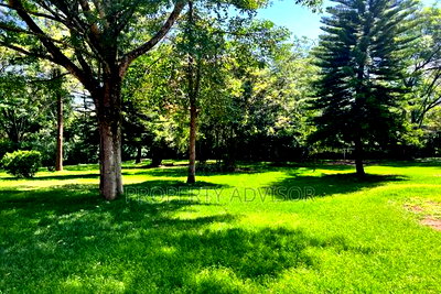 1 Acres Residential Vacant Land for Sale in Muthaiga (Kenya) - Image 3