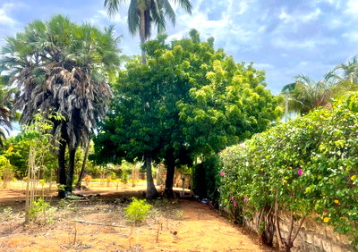 Half Acre Plot in Turtle Bay