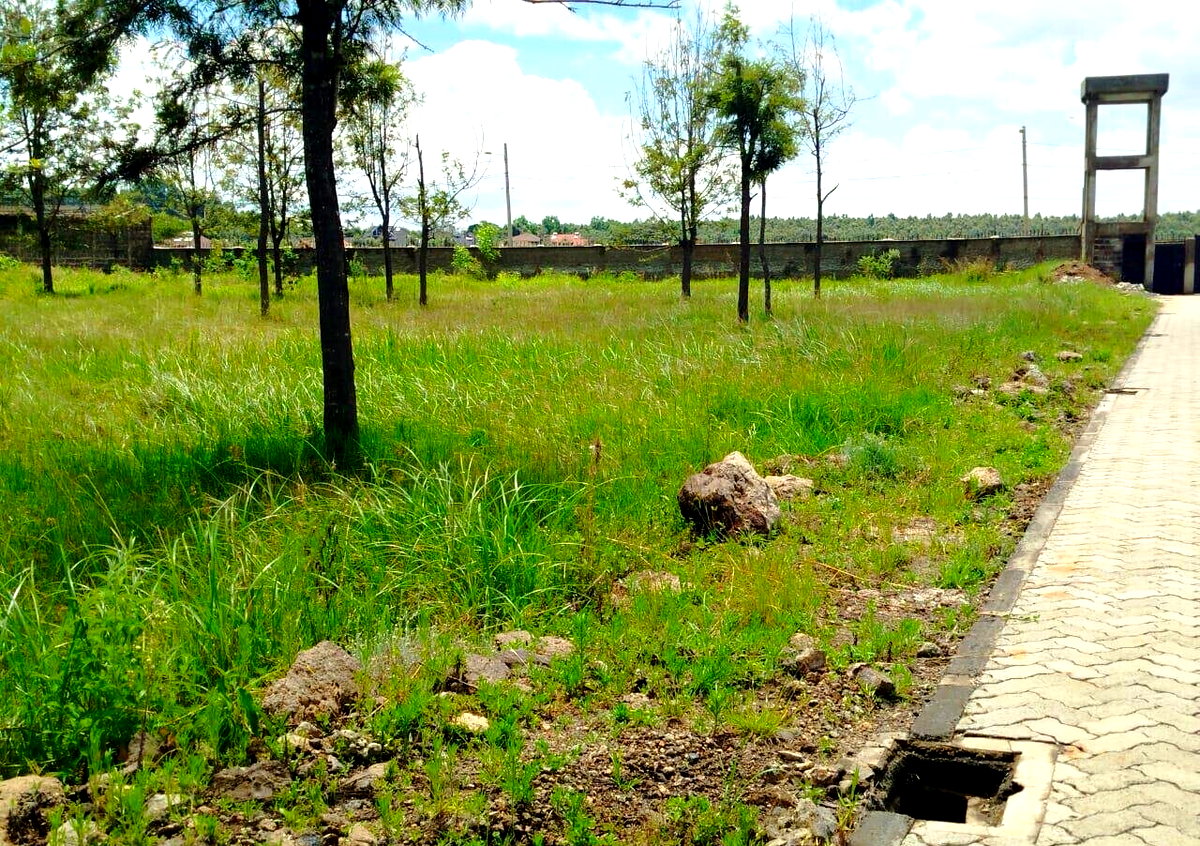 Half Acre in Karen at KSh 42M