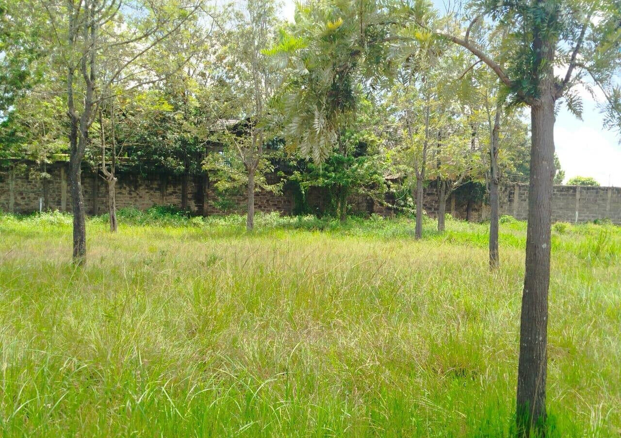 Half Acre in Karen at KSh 42M
