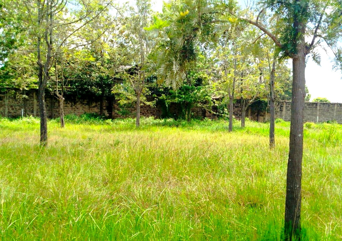 Half Acre in Karen at KSh 42M