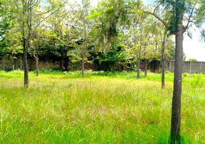 Half Acre in Karen at KSh 42M