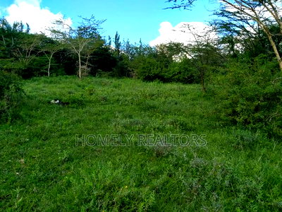 Quarter Acre Plot in Ongata Rongai, Nkoroi at Kanisani Area - Image 3