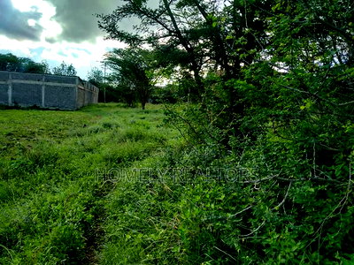 Quarter Acre Plot in Ongata Rongai, Nkoroi at Kanisani Area - Image 5