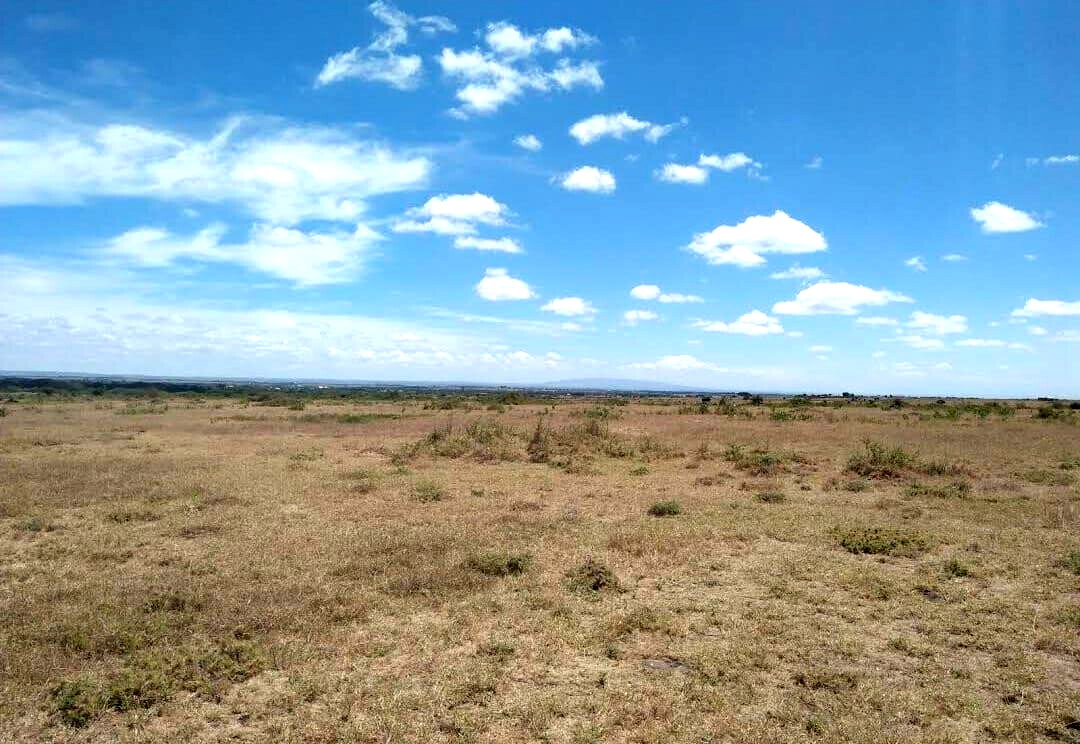 100-Acre Garden Land with Parking