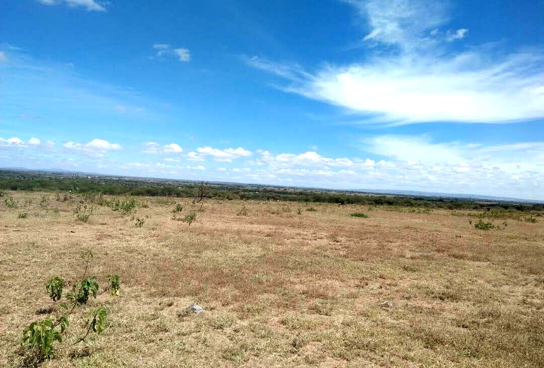 100-Acre Garden Land with Parking