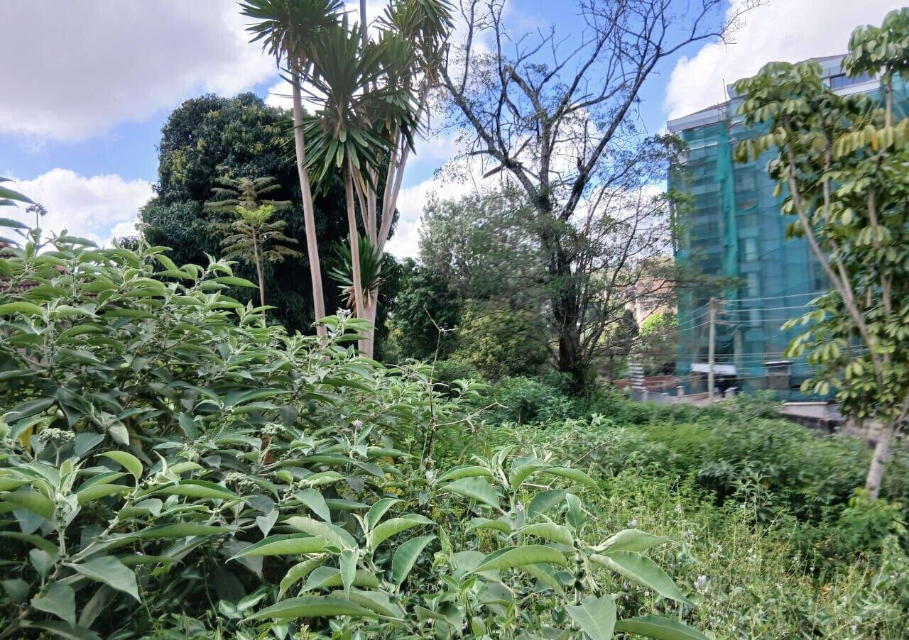 1 Acre Westlands Land for KSh 380M
