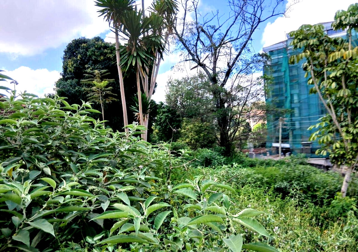 1 Acre Westlands Land for KSh 380M