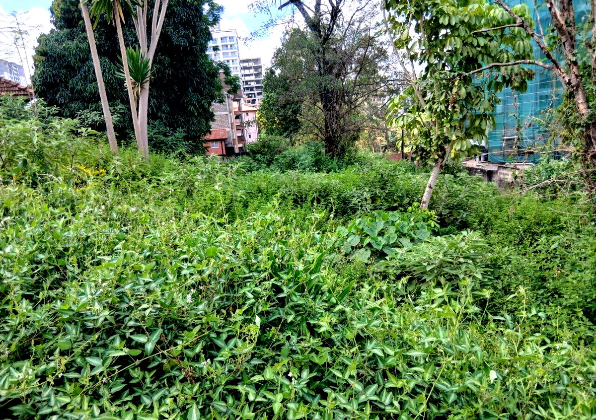 1 Acre Westlands Land for KSh 380M