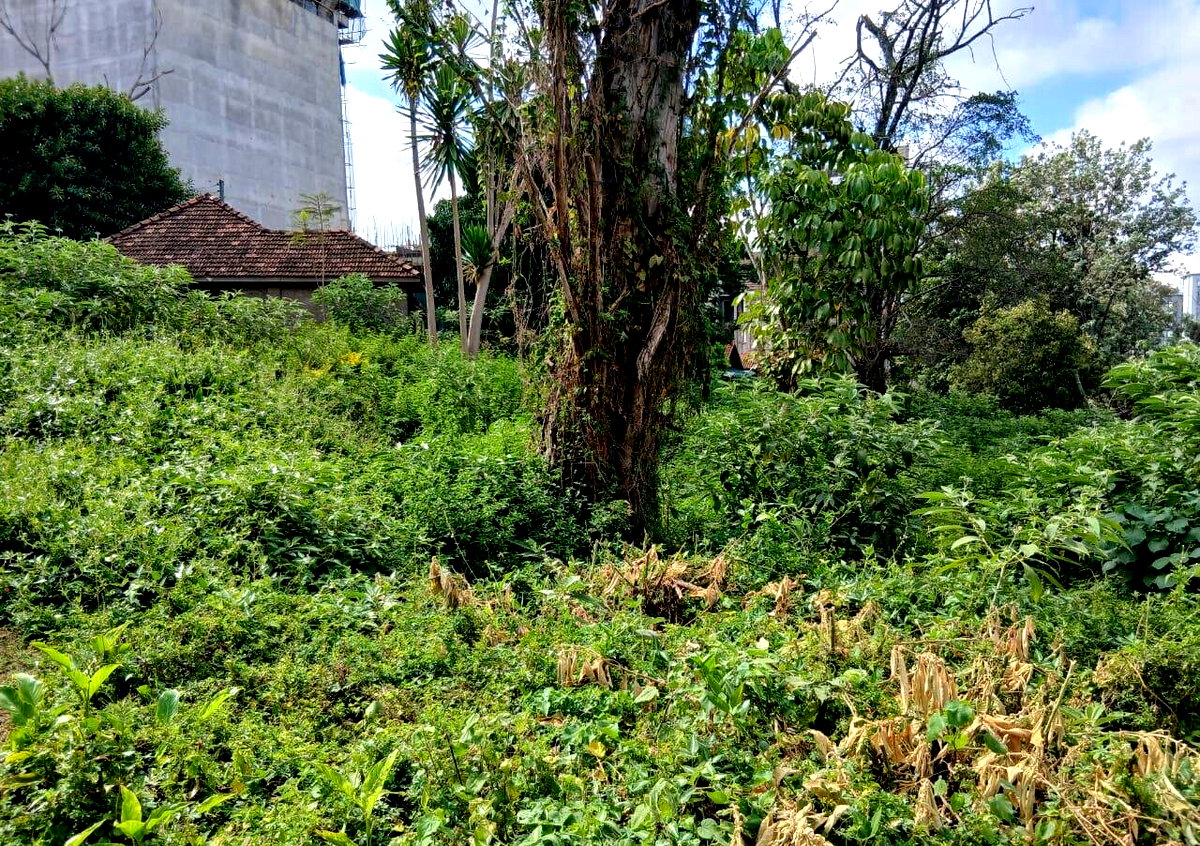 1 Acre Westlands Land for KSh 380M