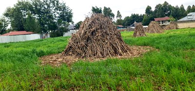 Plots for Sale in Outspan Eldoret - Image 2