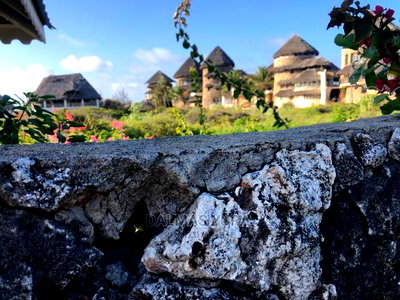 3200 Mtsq Piece of Land - Image 5