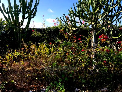 3200 Mtsq Piece of Land - Image 2