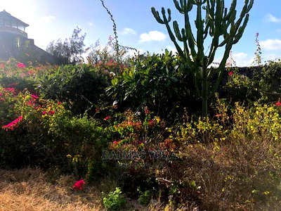 3200 Mtsq Piece of Land - Image 1