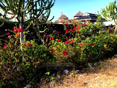 3200 Mtsq Piece of Land - Image 3