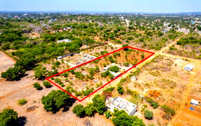KSh 24M Bofa Plot