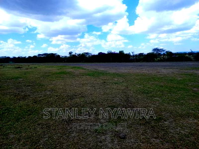 Great Nanyuki Daiga 2.2acreas Touching Tarmac - Image 5