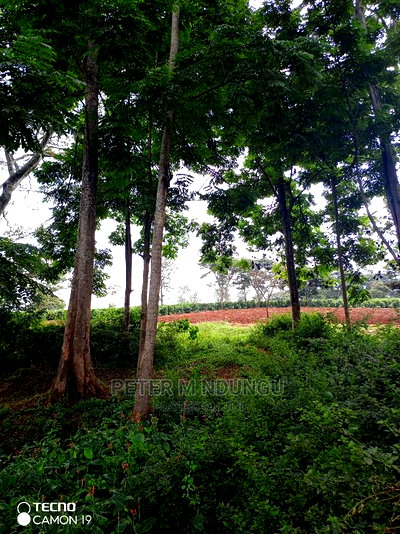 Prime 403acres on Sale, Kamiti Corner - Image 6