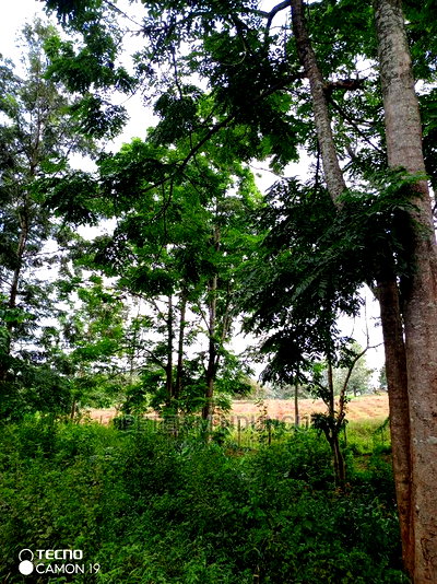 Prime 403acres on Sale, Kamiti Corner - Image 3