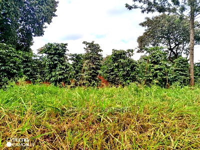 Prime 403acres on Sale, Kamiti Corner - Image 5