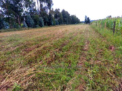 50x100 Exquisite Plots in Olkalou - Image 2