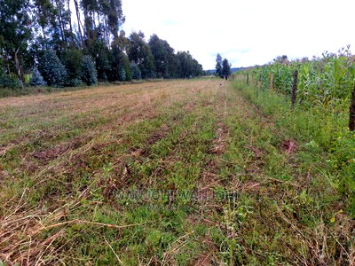 50x100 Exquisite Plots in Olkalou - Image 3