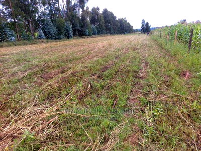 50x100 Exquisite Plots in Olkalou - Image 1