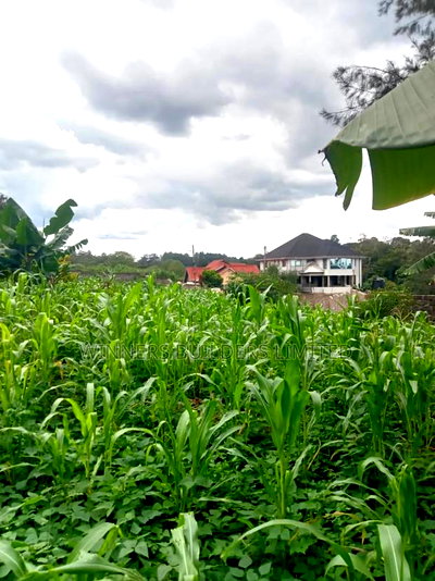 50 * 100 Plot for Sale at Ngoingwa - Image 7