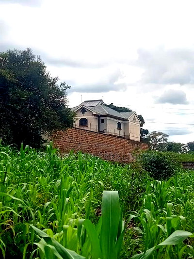 50 * 100 Plot for Sale at Ngoingwa - Image 6