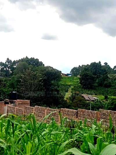 50 * 100 Plot for Sale at Ngoingwa - Image 5